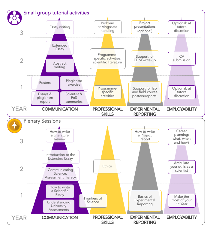 university of manchester essay writing guide